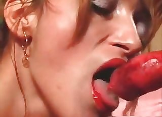 Slender Cougar blowing a dog