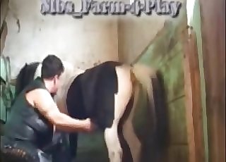 MILF fapping this pony's perfect boner