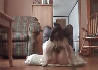 Hardcore sex with a dirty dog
